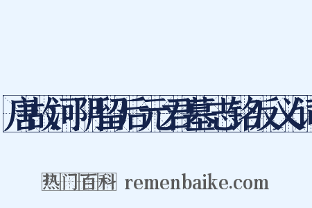 唐故河阴留后元君墓志铭反义词是什么意思的图片